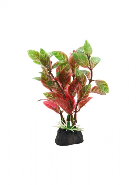 Рослина акваріумна, 3х10 см